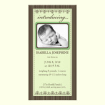Classy Lime Green Customized Birth Announcement photo cards