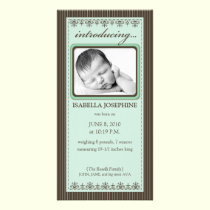 Classy Mint Green Customized Birth Announcement photo cards