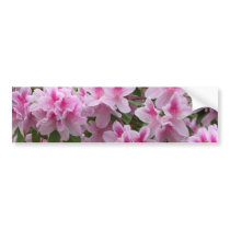 Classy Mod  Elegant Chic  & Stylish  Personalize Bumper Sticker