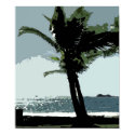Classy Palm posters