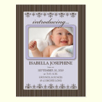 Classy Pinstripe Lilac Baby Announcement Postcard postcards
