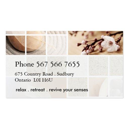 CLASSY RESORT AND SPA BUSINESS CARD (back side)