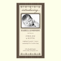 Classy Taupe Customized Birth Announcement photo cards