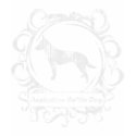 Classy Weathered Australian Cattle Dog Shirt