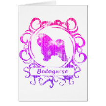 Classy Weathered Bolognese Greeting Cards