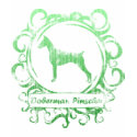 Classy Weathered Doberman Pinscher Ladies t-shirts