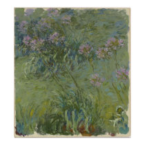 Claude Monet - Agapanthus posters