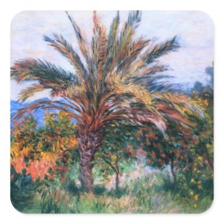 Claude Monet: Palm Tree at Bordighera