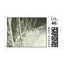 Claunch 72 Monochrome Collection - Bamboo Postage Stamps