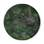 rabbits, rabbit, bunny, bunny rabbit, doe, bugs