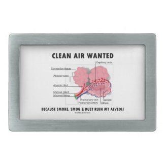 Clean Air Wanted Because Smoke Smog Dust Ruin My Belt Buckle