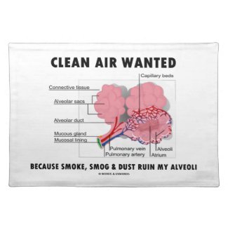 Clean Air Wanted Because Smoke Smog Dust Ruin My Place Mats