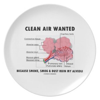 Clean Air Wanted Because Smoke Smog Dust Ruin My Dinner Plates