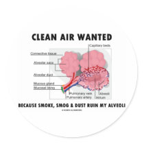 Clean Air Wanted (Health & Medicine Alveoli Humor) stickers by wordsunwords Clean Air Wanted (Health & Medicine Alveoli Humor) stickers