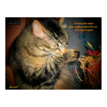 clean cat haiku poster