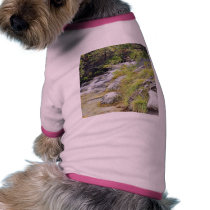 Clean Cold Stream In High Tatras In Slovakia pet clothing by lifesphere Clean Cold Stream In High Tatras In Slovakia pet clothing