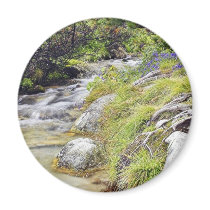 Clean Cold Stream In High Tatras In Slovakia magnets
