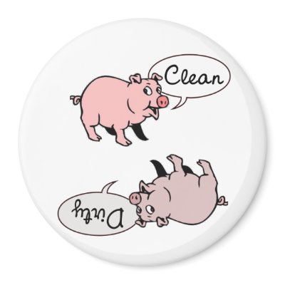 Clean Dirty Pigs Refrigerator Magnet by MagnetMadness