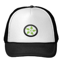 Clean Green Power Mesh Hat