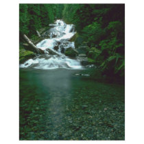 Clean Green Waters Personalized Flyer
