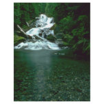 Clean Green Waters flyers