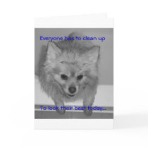 Clean Puppy cards