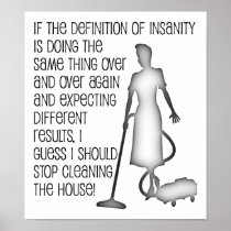 Cleaning Insanity Fun posters