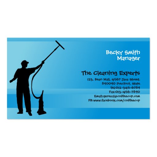 Cleaning Services Business Card Window Cleaner (front side)