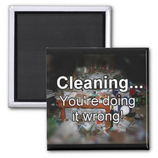 Cleaning You're Doing it Wrong! magnet