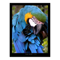 Cleansing posters by curtg_art Cleansing posters