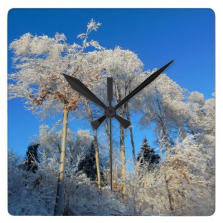 Clear Blue Skies Frosty White Trees Square Clock