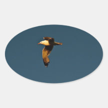 CLEAR BLUE SKY WITH SEABIRD IN FLIGHT OVAL STICKERS