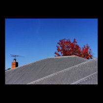 Clear Day Rooftop Print posters