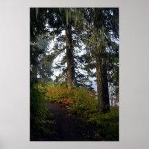 Clear Lake Hiking Trail Print