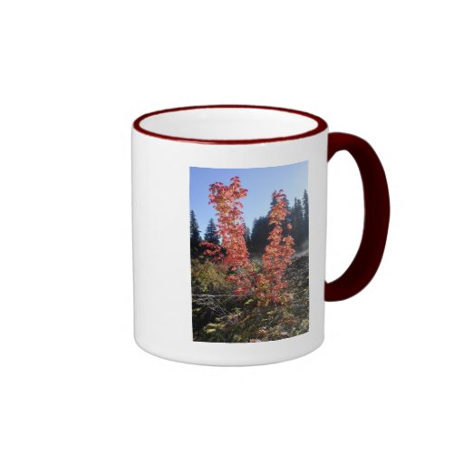 Clear Lake Lava Flow Coffee Mugs