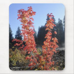 Clear Lake Lava Flow Mousepad