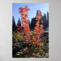 Clear Lake Lava Flow Poster