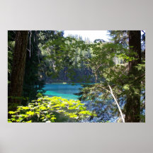 Clear Lake, Oregon Print