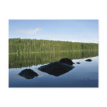 Clear Lake Reflections Post Cards