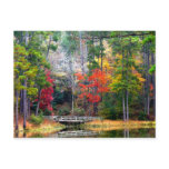 Clear Springs - Homochitto National Forest postcards