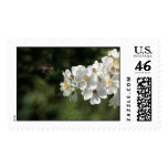Clear to land postage stamp