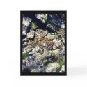 Clear Waters cards