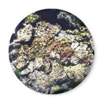 Clear Waters magnets