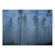 Clearing Fog cards