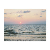 Clearwater Beach sunset postcard by cherylarogers Clearwater Beach sunset postcard
