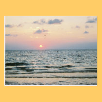 Clearwater Beach sunset postcard postcards