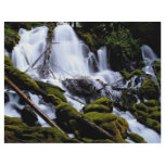 Clearwater Falls, Umpqua National Forest, Oregon, Custom Flyer