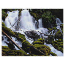 Clearwater Falls, Umpqua National Forest, Oregon, Custom Flyer