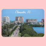 Clearwater Florida magnet magnets