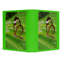 Clearwing binders by dawnmcininch Clearwing binders